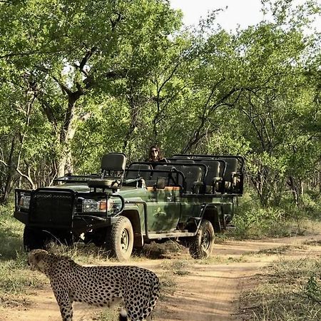 Karongwe Game Reserve Karongwe Portfolio- Shiduli Private Game Lodge מראה חיצוני תמונה