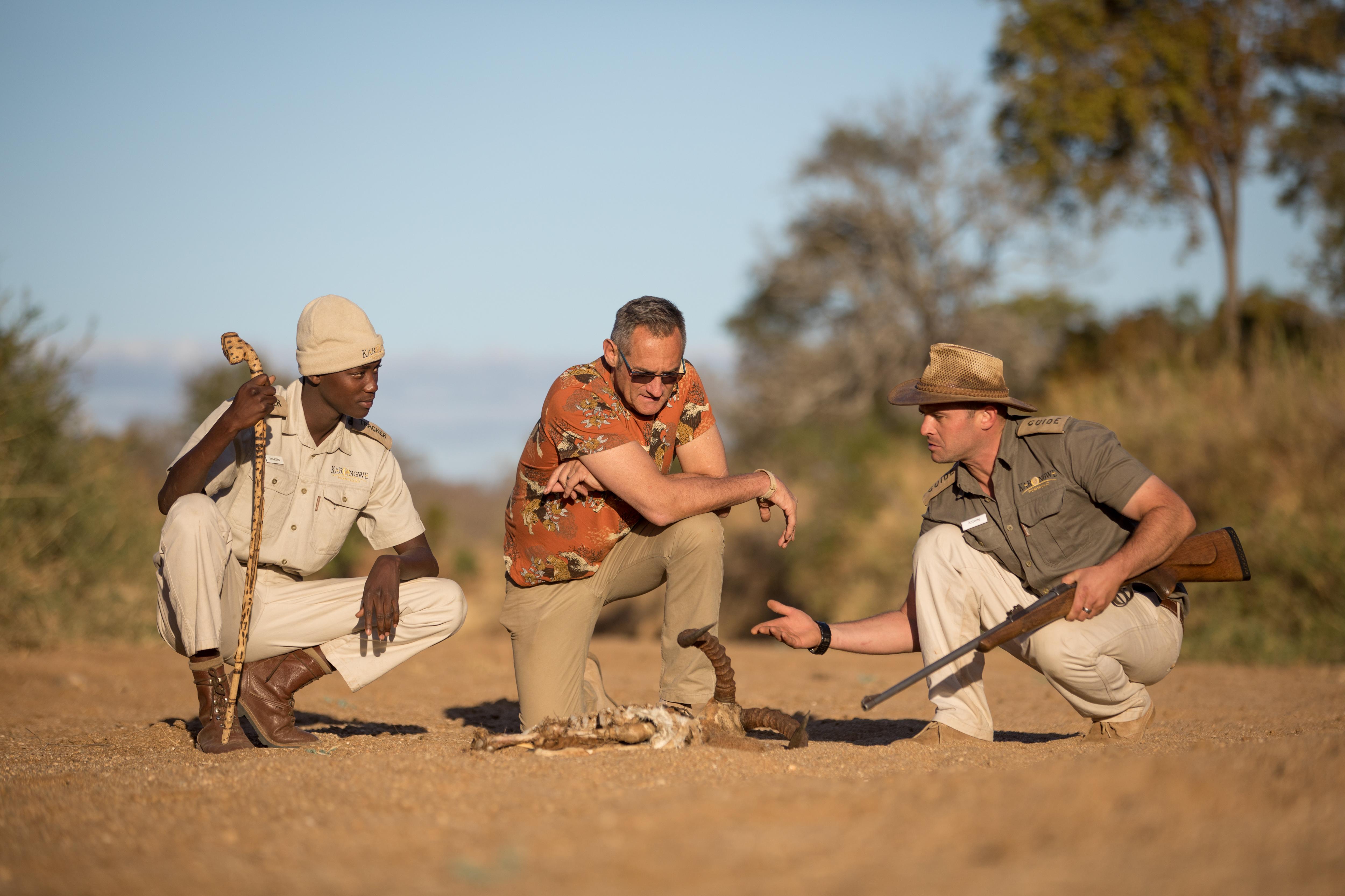 Karongwe Game Reserve Karongwe Portfolio- Shiduli Private Game Lodge מראה חיצוני תמונה