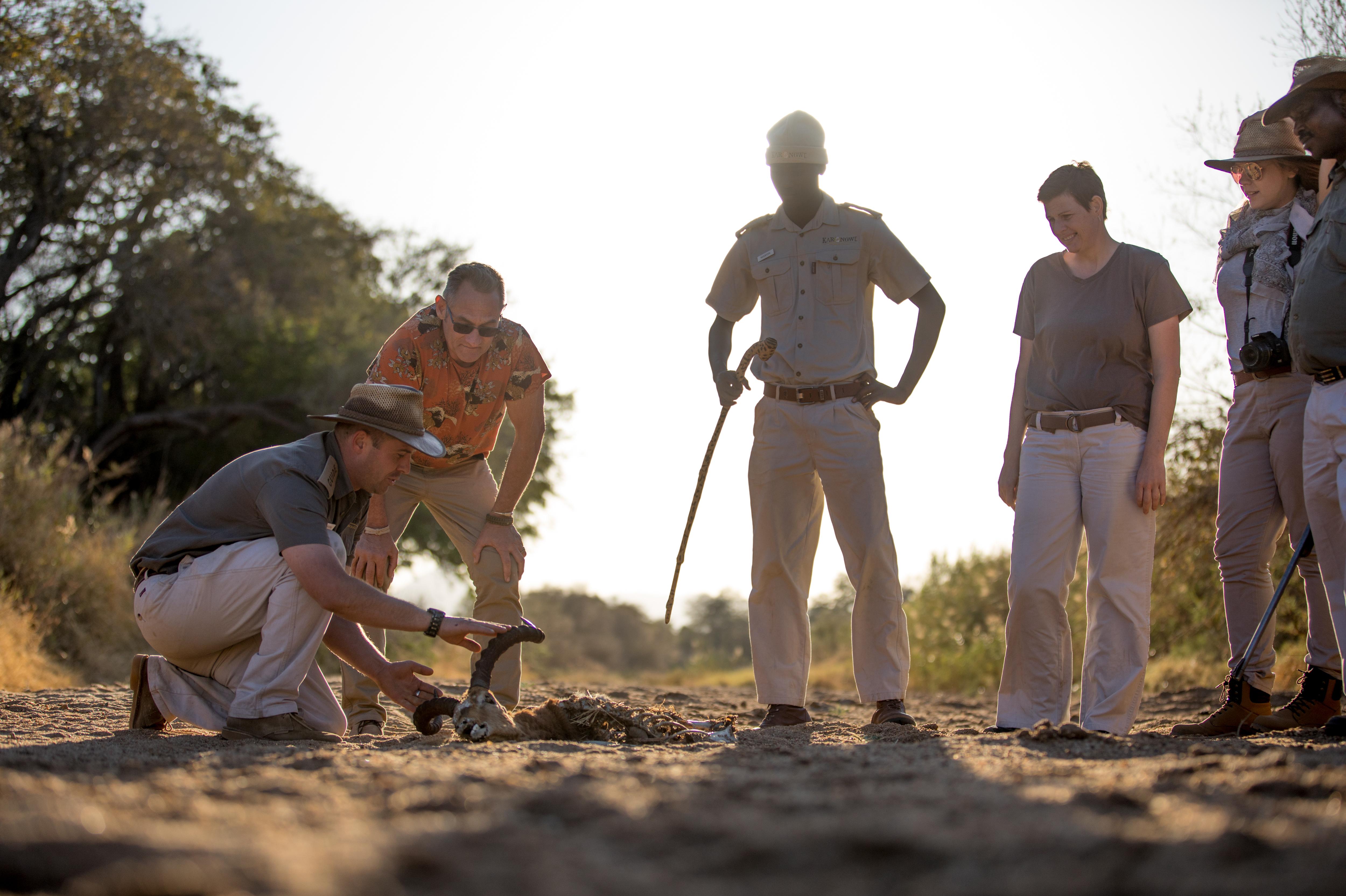Karongwe Game Reserve Karongwe Portfolio- Shiduli Private Game Lodge מראה חיצוני תמונה
