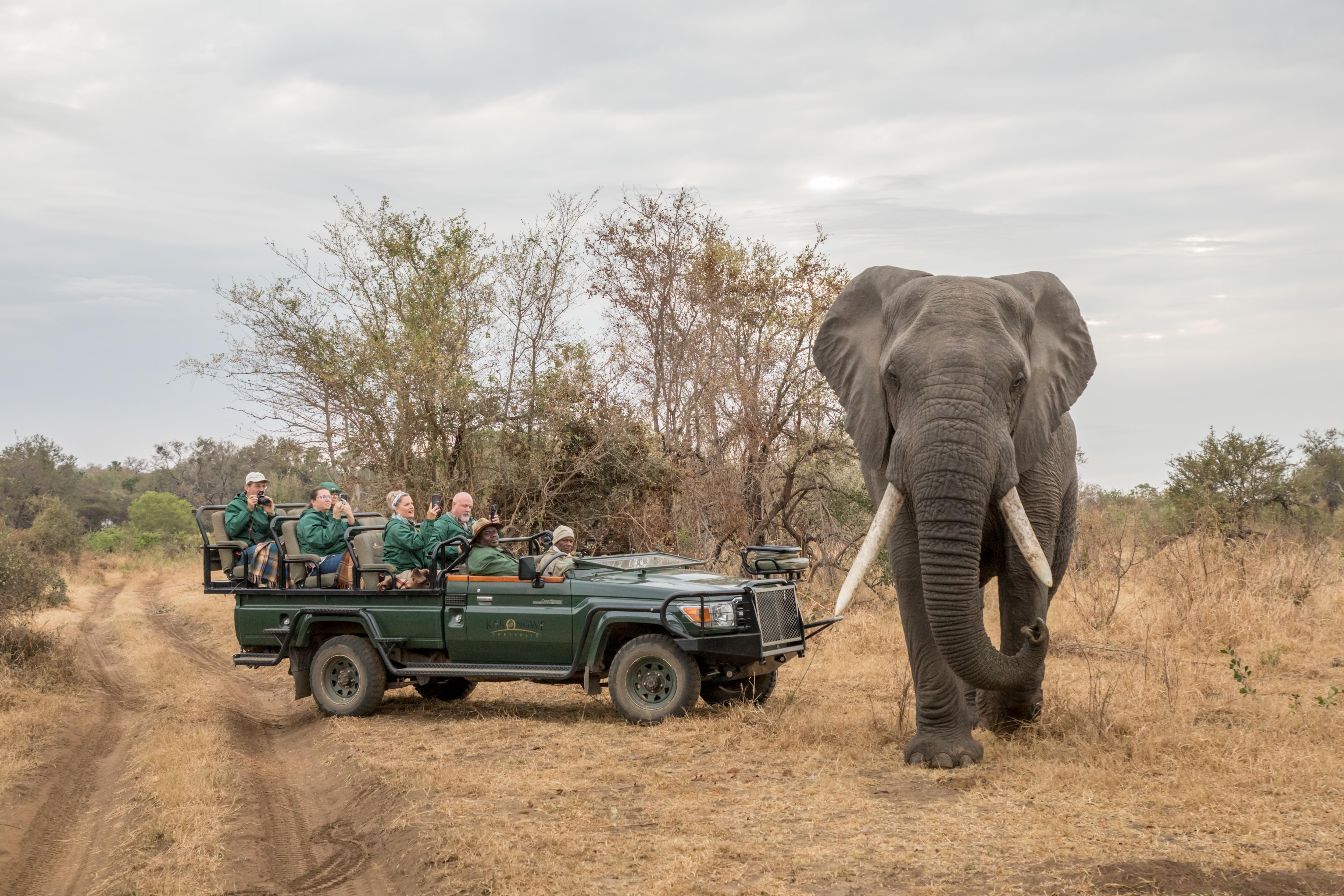 Karongwe Game Reserve Karongwe Portfolio- Shiduli Private Game Lodge מראה חיצוני תמונה