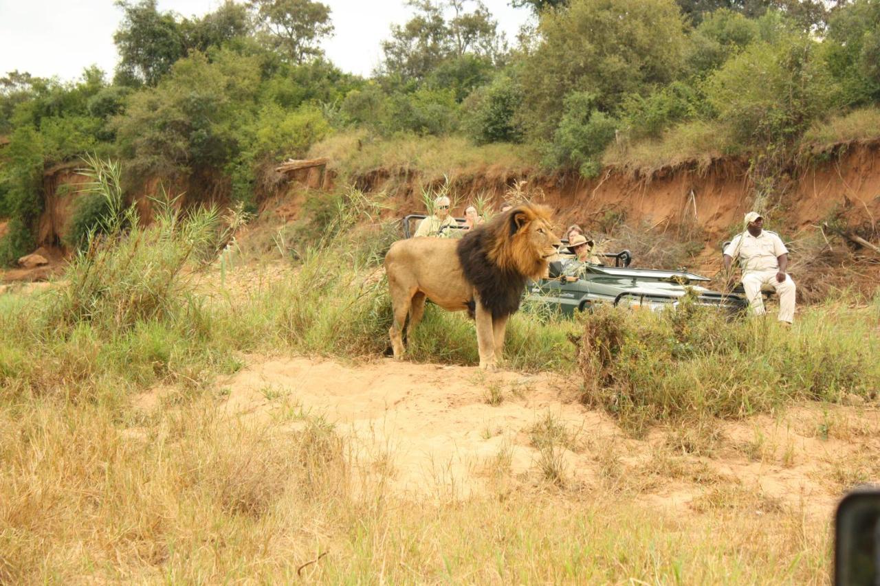Karongwe Game Reserve Karongwe Portfolio- Shiduli Private Game Lodge מראה חיצוני תמונה