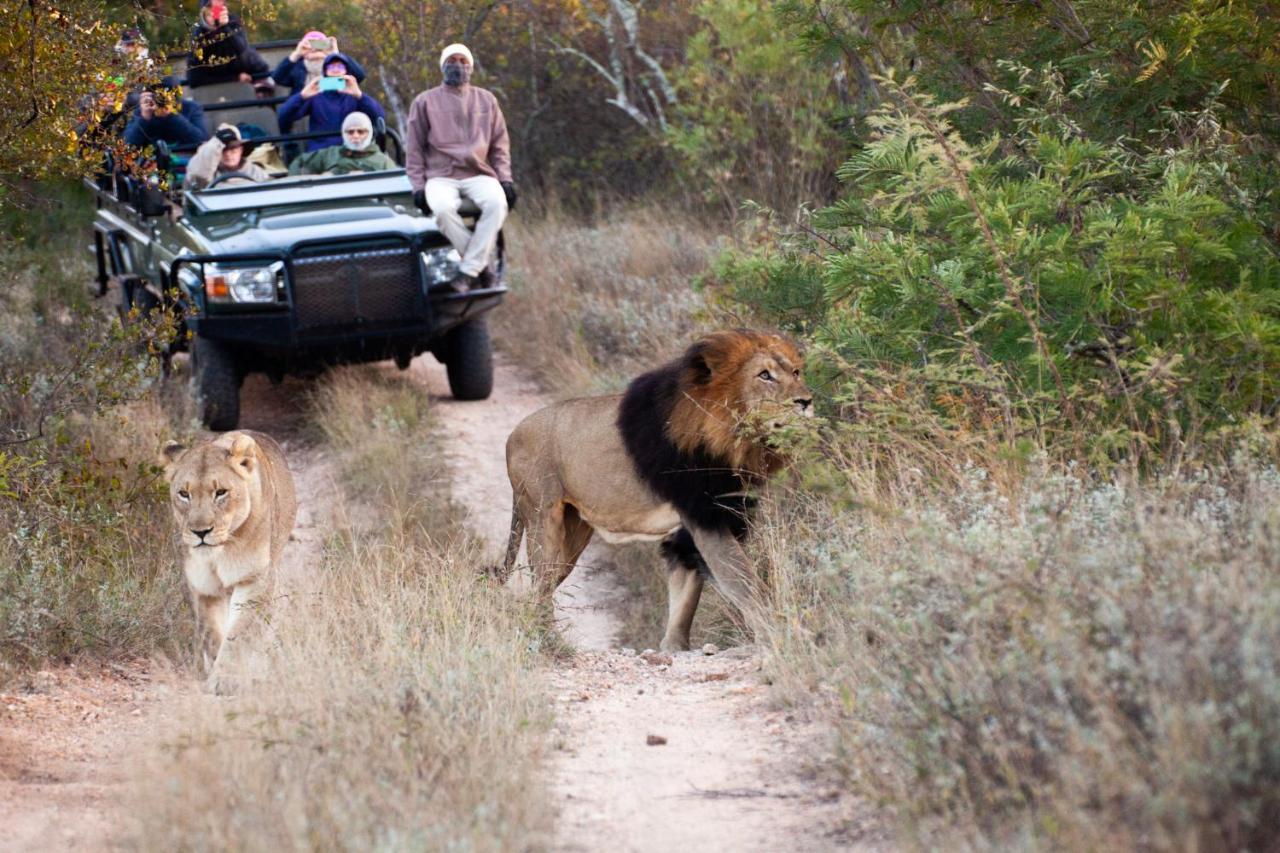 Karongwe Game Reserve Karongwe Portfolio- Shiduli Private Game Lodge מראה חיצוני תמונה