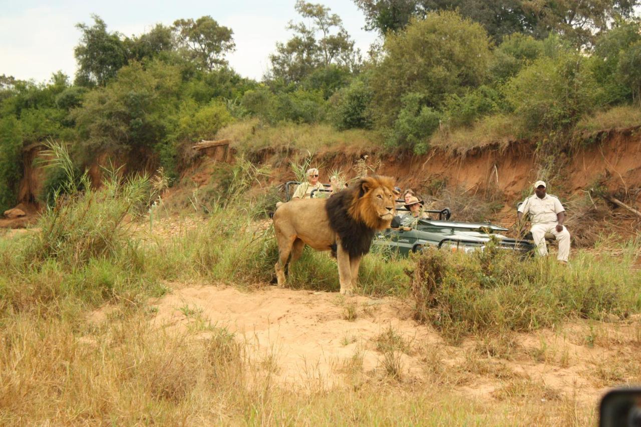 Karongwe Game Reserve Karongwe Portfolio- Shiduli Private Game Lodge מראה חיצוני תמונה