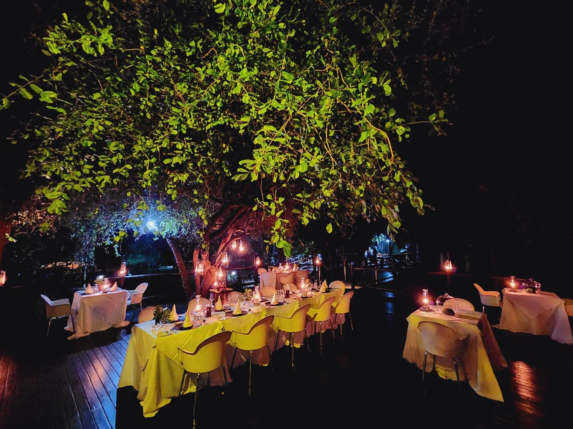 Karongwe Game Reserve Karongwe Portfolio- Shiduli Private Game Lodge מראה חיצוני תמונה