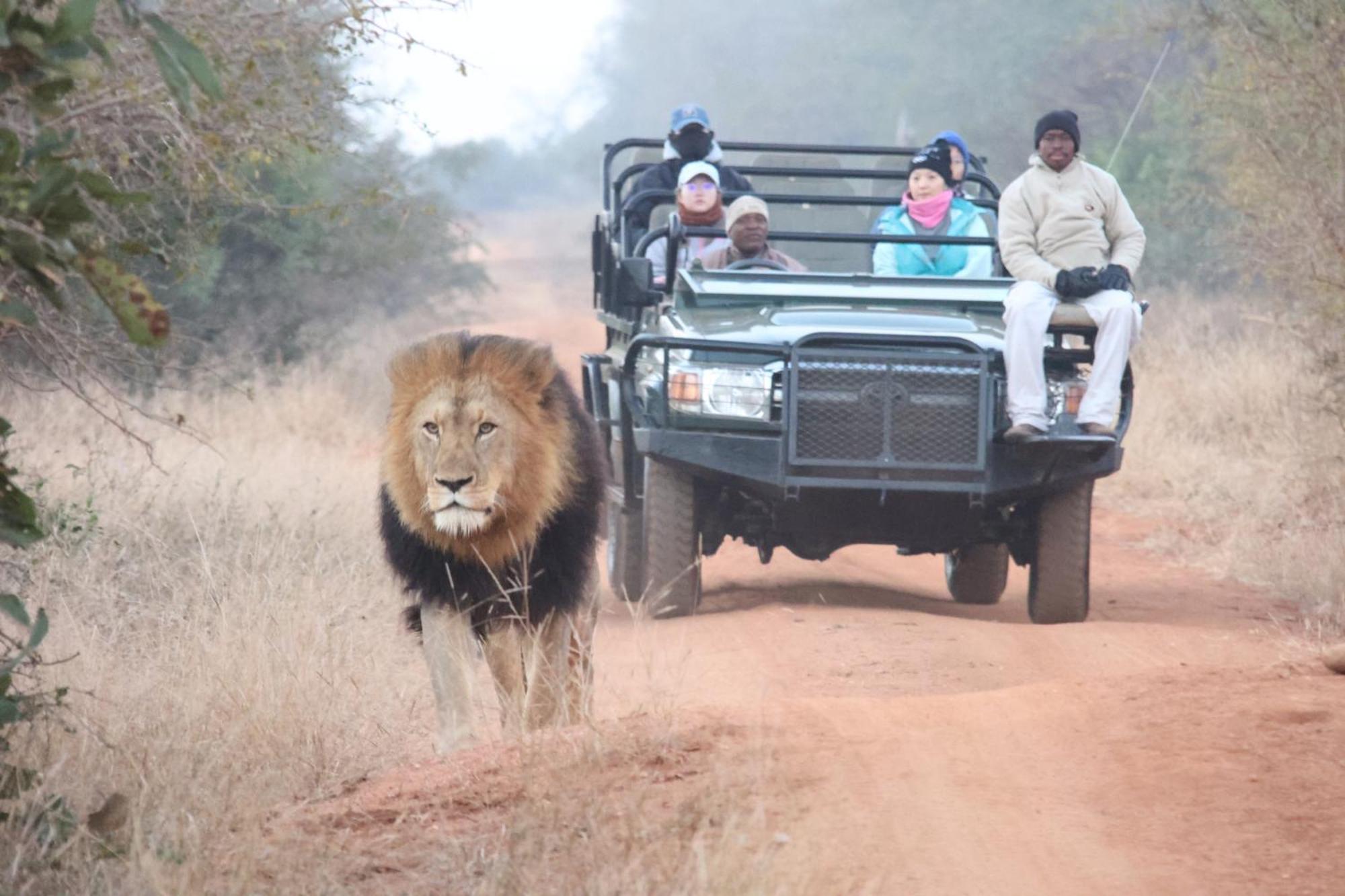 Karongwe Game Reserve Karongwe Portfolio- Shiduli Private Game Lodge מראה חיצוני תמונה