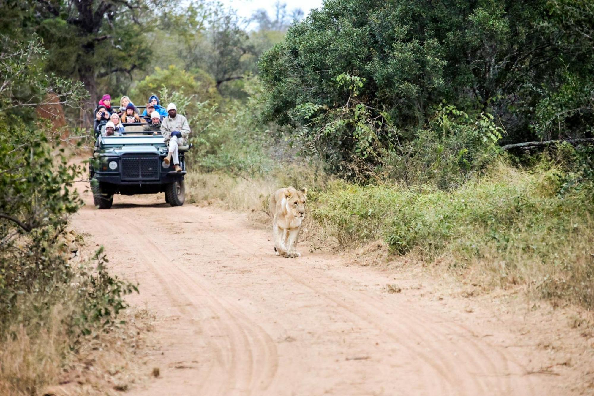 Karongwe Game Reserve Karongwe Portfolio- Shiduli Private Game Lodge מראה חיצוני תמונה